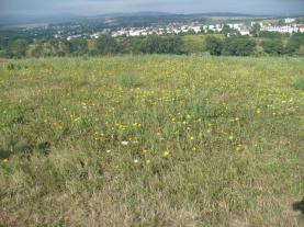 building land, Humenné